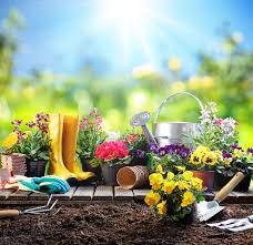 Gardenia Horticulture & Landscaping Services Pakistan Our Values